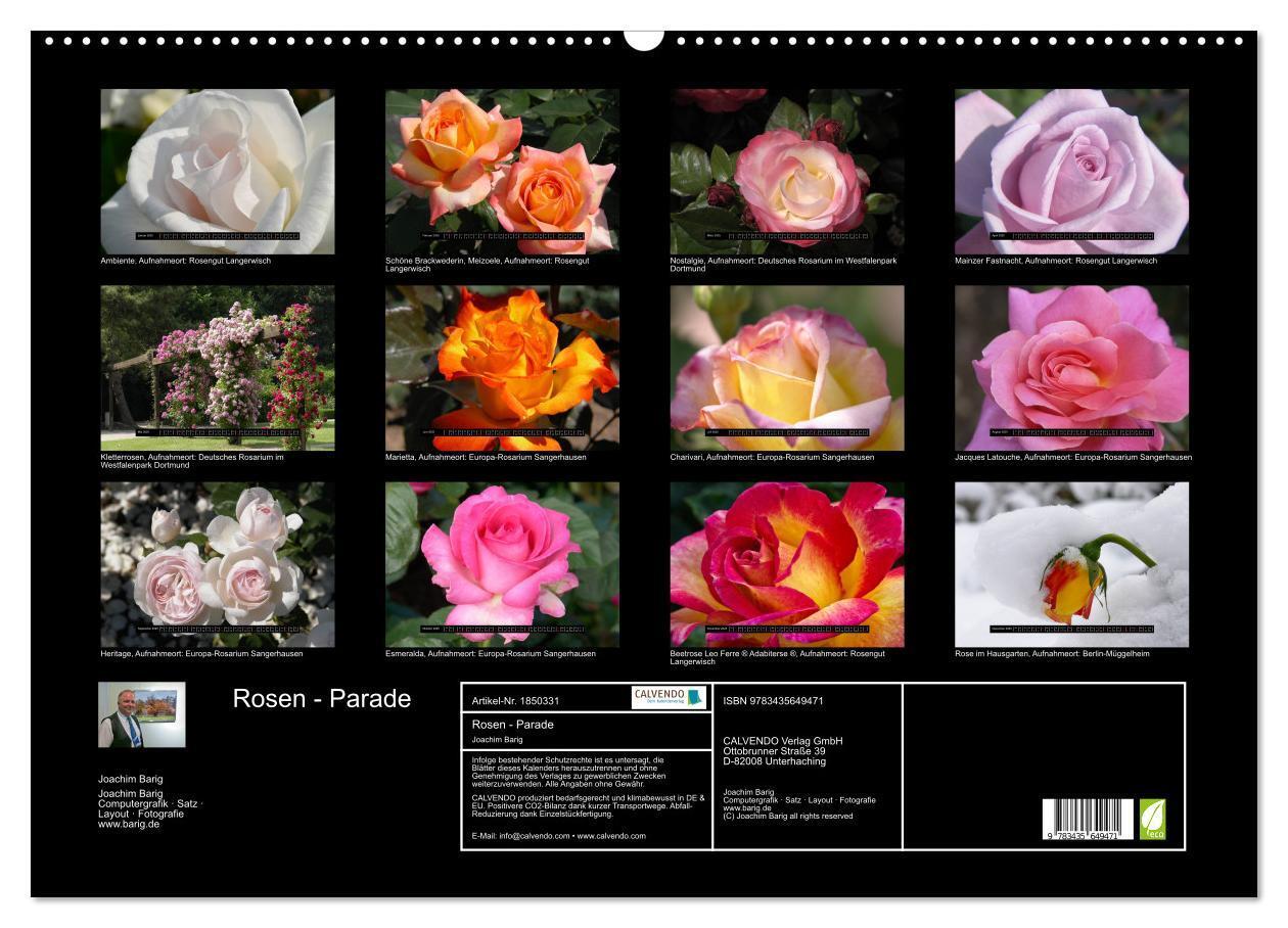 Bild: 9783435649471 | Rosen - Parade (Wandkalender 2025 DIN A2 quer), CALVENDO...