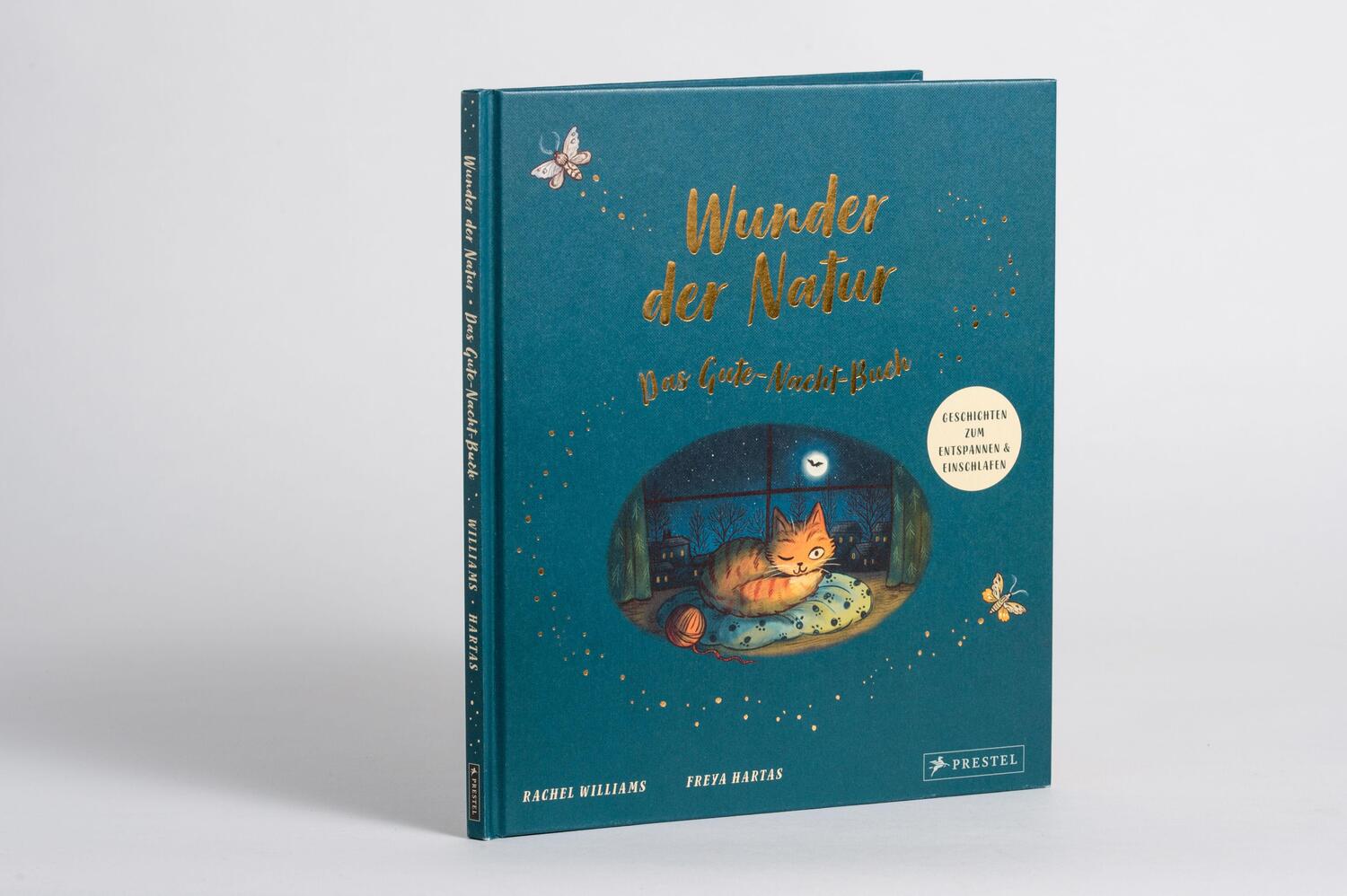 Bild: 9783791375250 | Wunder der Natur. Das Gute-Nacht-Buch | Rachel Williams | Buch | 32 S.