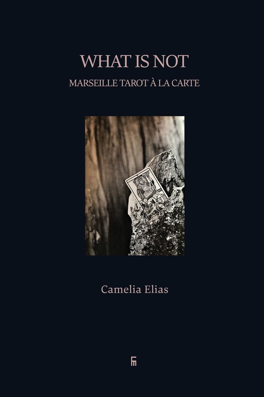 Cover: 9788792633439 | What is not | Marseille Tarot à la carte | Camelia Elias | Taschenbuch