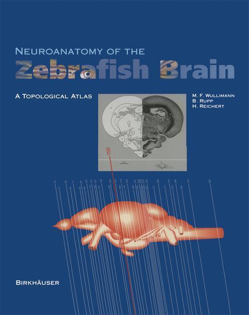 Cover: 9783034898522 | Neuroanatomy of the Zebrafish Brain | A Topological Atlas | Buch