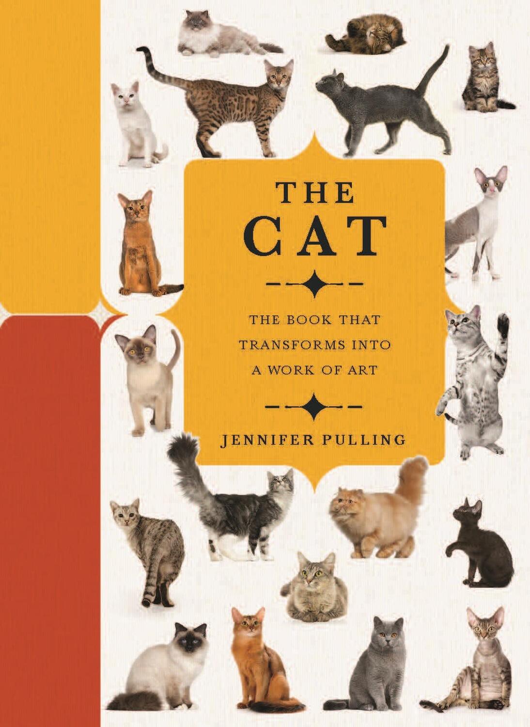 Cover: 9780233005829 | Paperscapes: The Cat | Jennifer Pulling (u. a.) | Buch | Gebunden