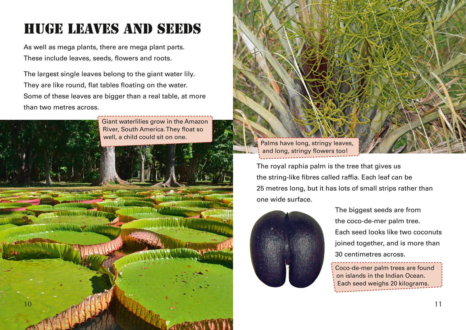 Bild: 9780008163792 | Mega Plants | Band 12/Copper | Steve Parker | Taschenbuch | Englisch