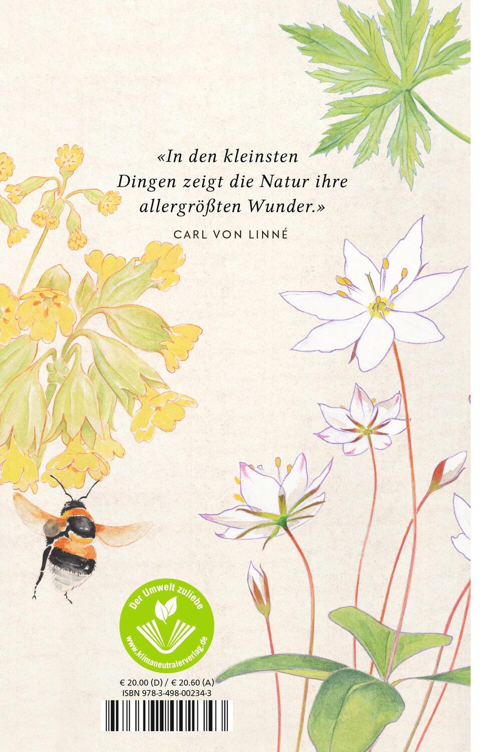 Rückseite: 9783498002343 | Die Wildblumensammlerin | Elke Loewe | Buch | Naturwunder | Deutsch