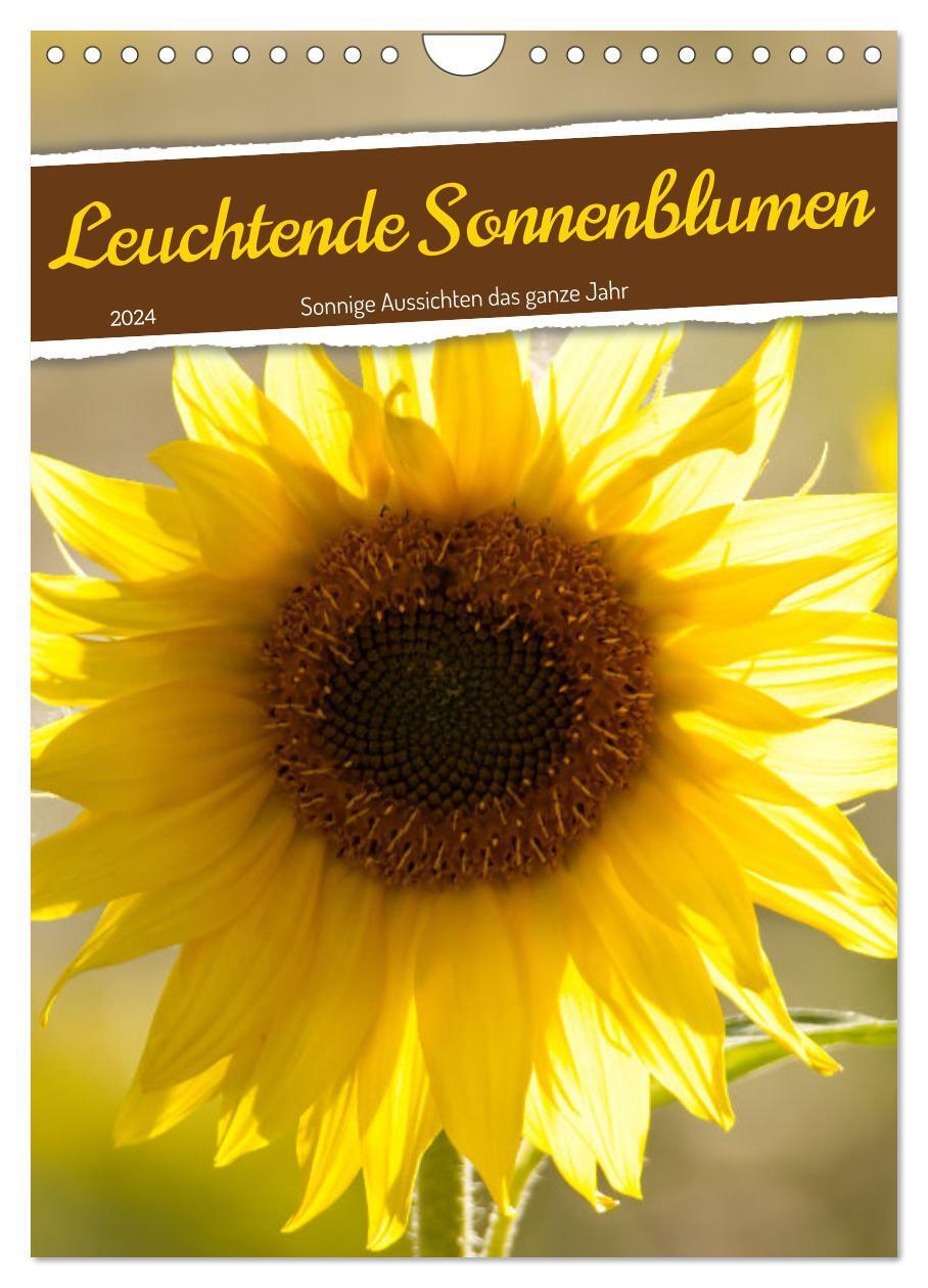 Cover: 9783675976528 | Leuchtende Sonnenblumen, sonnige Aussichten das ganze Jahr...