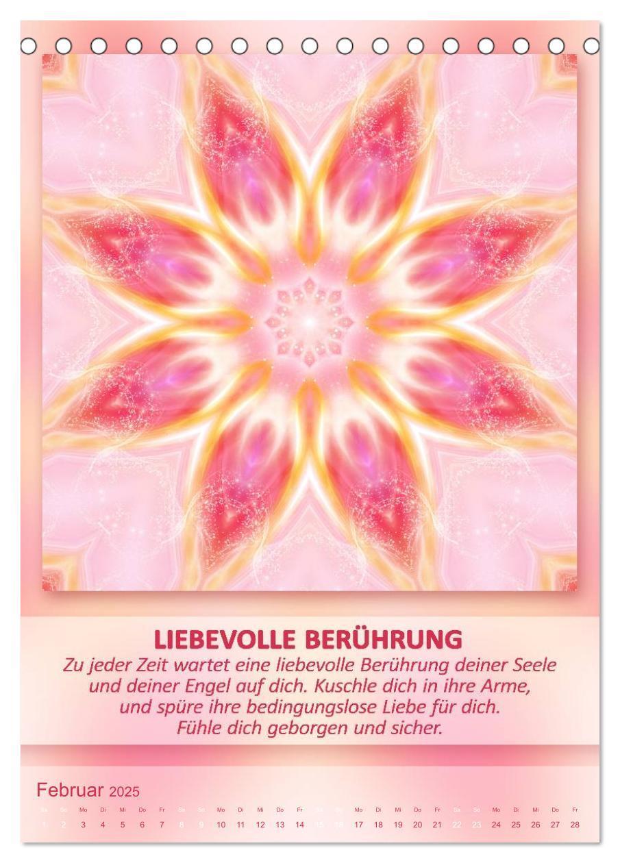 Bild: 9783457079515 | Light Energy Mandalas - Kalender - Vol. 1 (Tischkalender 2025 DIN...