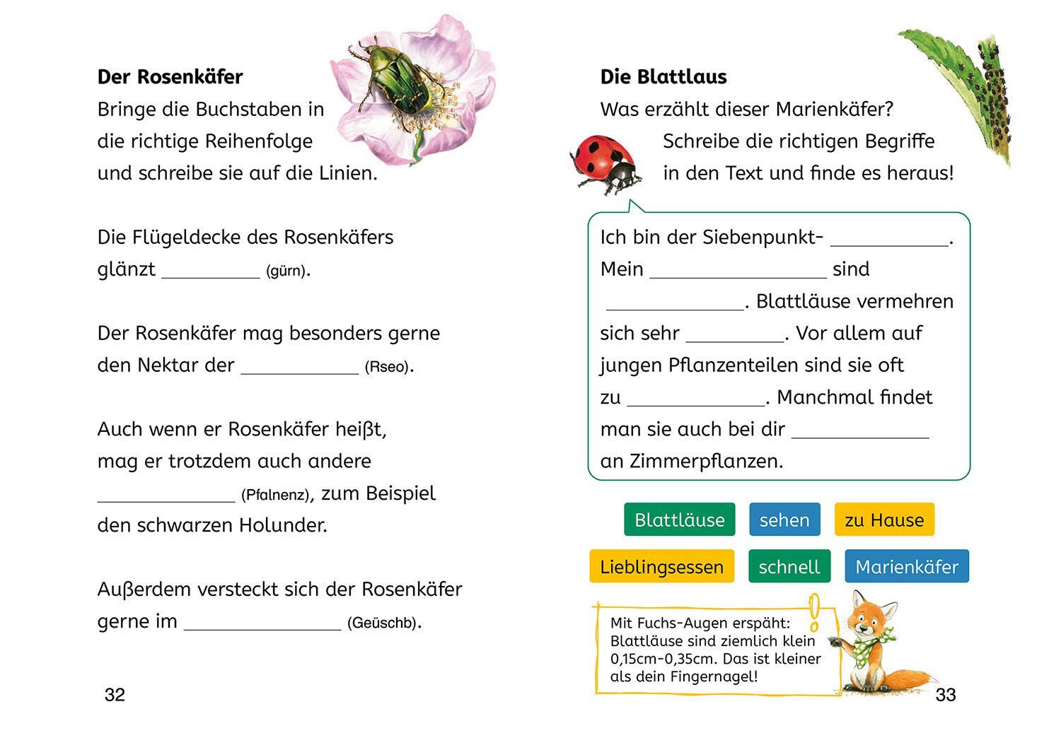Bild: 9783440178195 | Lesen lernen mit Naturrätseln, Bücherhelden 2. Klasse, Insekten &amp;...