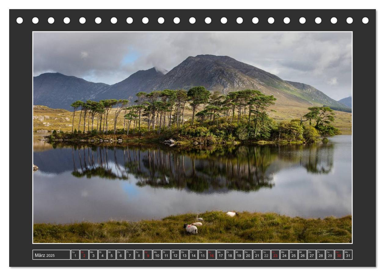 Bild: 9783435679430 | IRLAND - Insel der glücklichen Schafe (Tischkalender 2025 DIN A5...