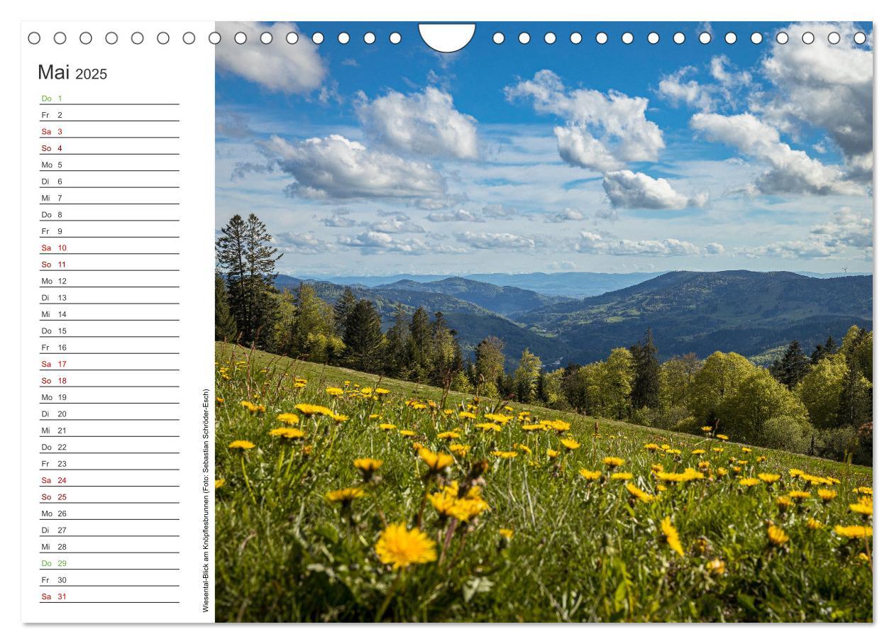 Bild: 9783383932762 | Naturvielfalt Wiesental (Wandkalender 2025 DIN A4 quer), CALVENDO...