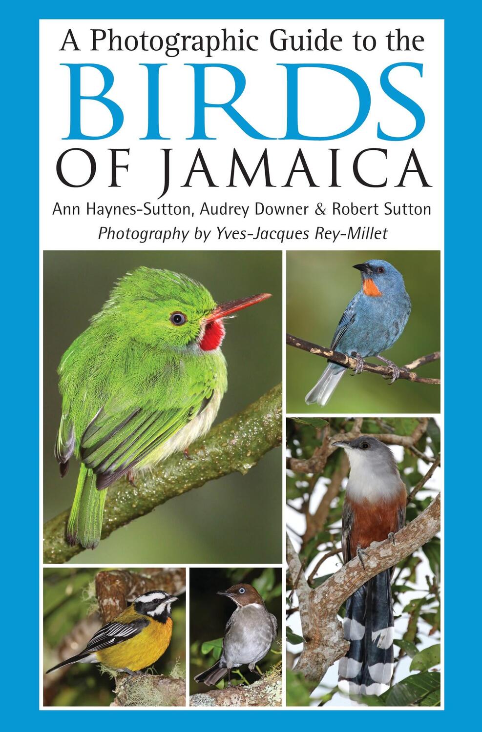 Cover: 9781408107430 | A Photographic Guide to the Birds of Jamaica | Haynes-Sutton (u. a.)