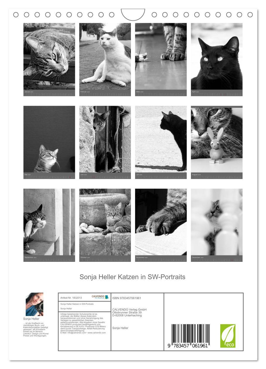 Bild: 9783457061961 | Sonja Heller Katzen in SW-Portraits (Wandkalender 2025 DIN A4...