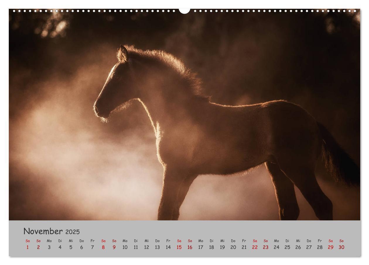 Bild: 9783435336357 | Spiegel deiner Seele (hochwertiger Premium Wandkalender 2025 DIN A2...