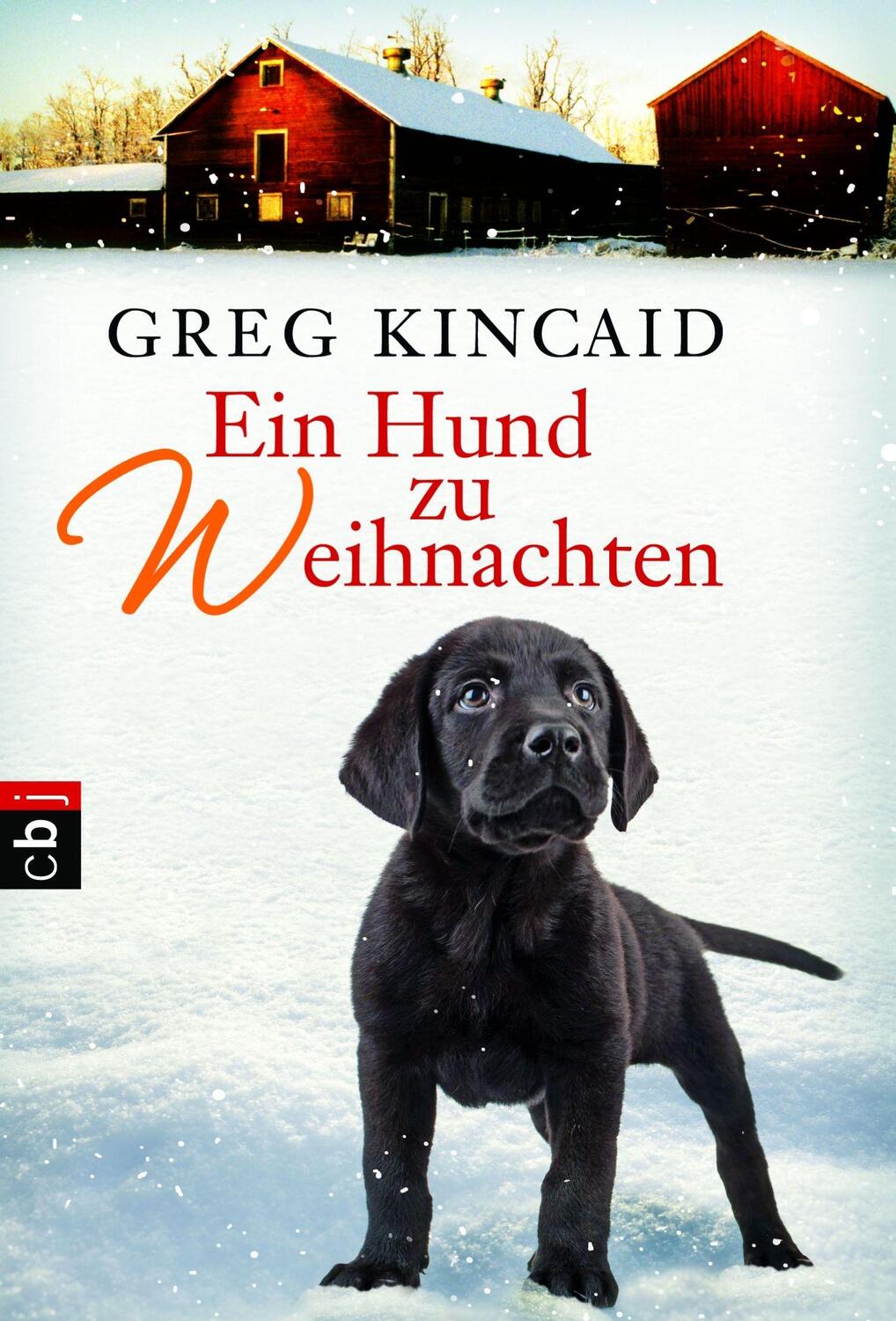 Cover: 9783570223611 | Ein Hund zu Weihnachten | Greg Kincaid | Taschenbuch | Deutsch | 2012