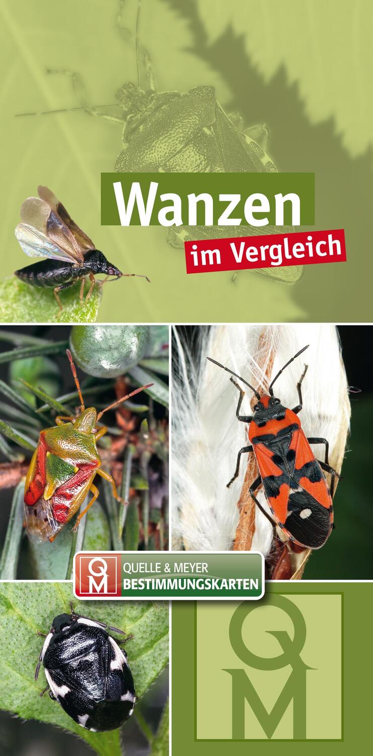Cover: 9783494018652 | Wanzen | im Vergleich | Quelle & Meyer Verlag | Taschenbuch | Deutsch