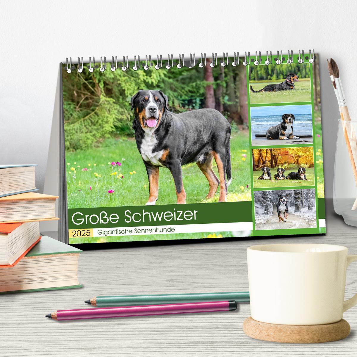 Bild: 9783457218075 | Große Schweizer - Gigantische Sennenhunde (Tischkalender 2025 DIN...