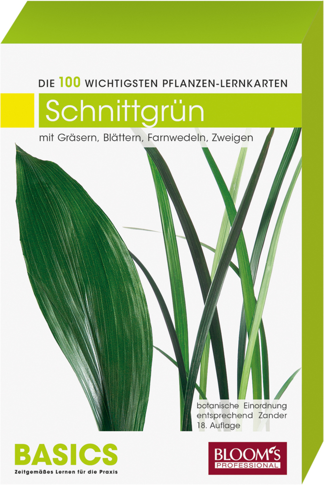 Cover: 9783939868354 | Schnittgrün | Karl-Michael Haake | Box | 2015 | BLOOM's