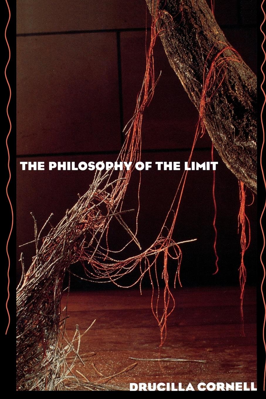 Cover: 9780415902397 | The Philosophy of the Limit | Drucilla Cornell | Taschenbuch | 1992