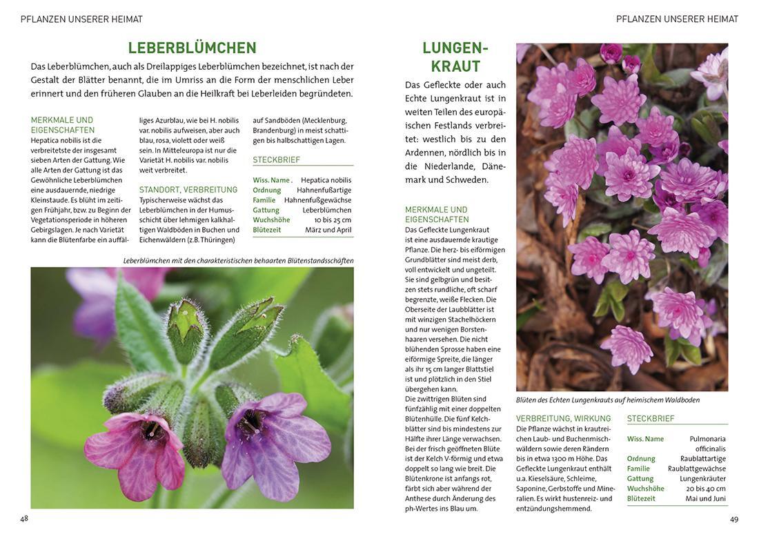 Bild: 9783735917126 | Pflanzen unserer Heimat | Buch | 176 S. | Deutsch | 2018