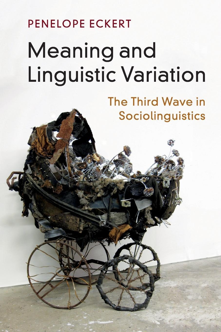 Cover: 9781107559899 | Meaning and Linguistic Variation | Penelope Eckert | Taschenbuch
