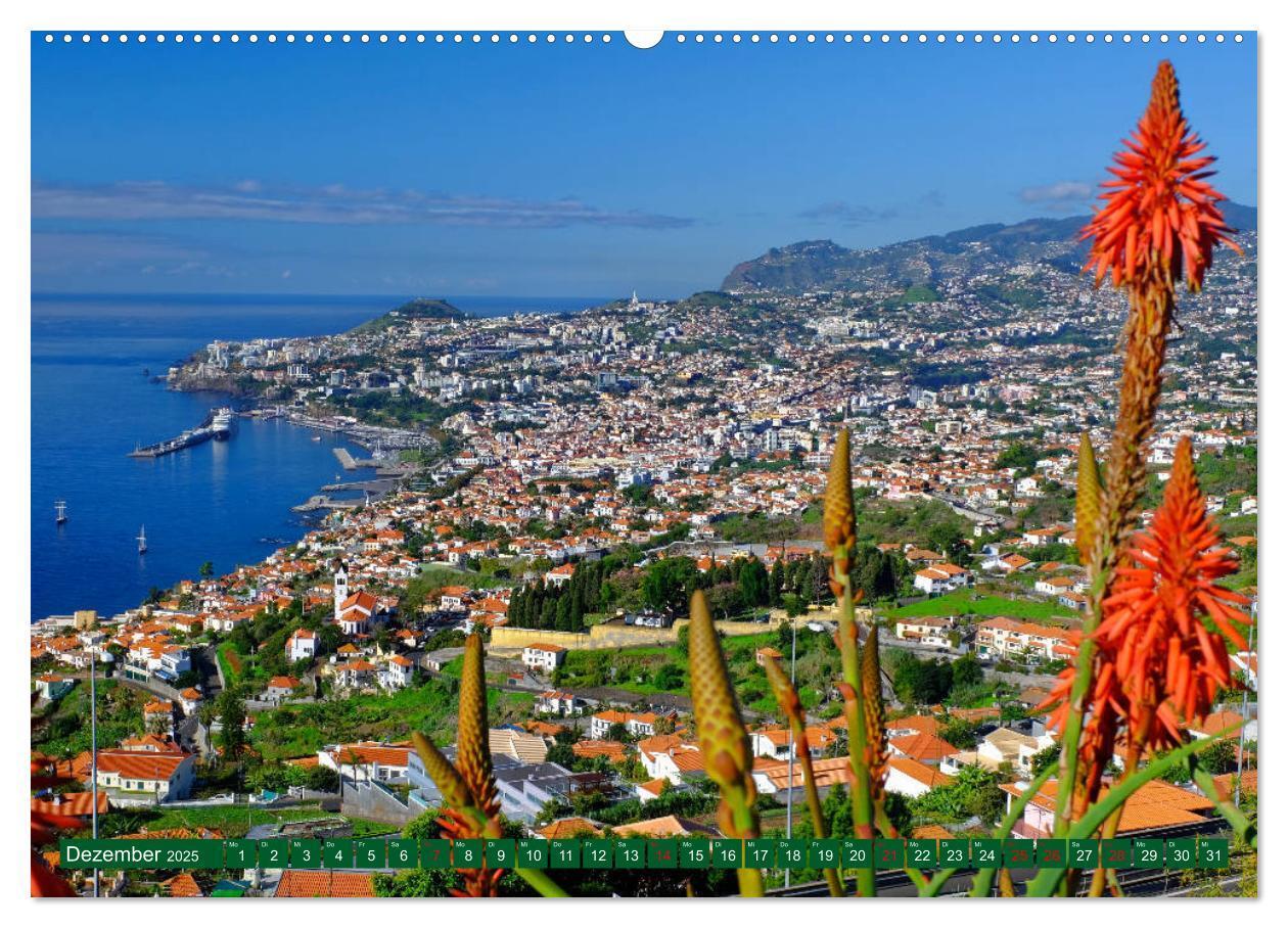 Bild: 9783383794193 | Madeira Blumeninsel im Atlantik (Wandkalender 2025 DIN A2 quer),...