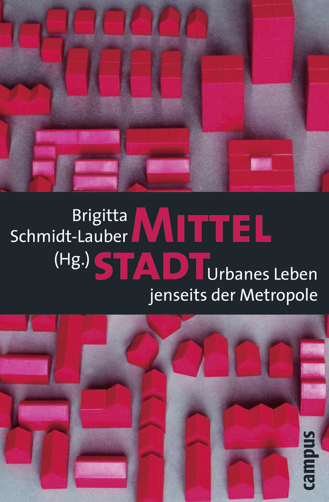 Cover: 9783593391052 | Mittelstadt | Urbanes Leben jenseits der Metropole | Schmidt-Lauber