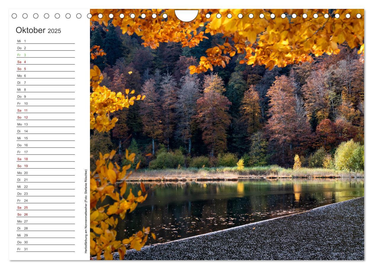 Bild: 9783383932762 | Naturvielfalt Wiesental (Wandkalender 2025 DIN A4 quer), CALVENDO...