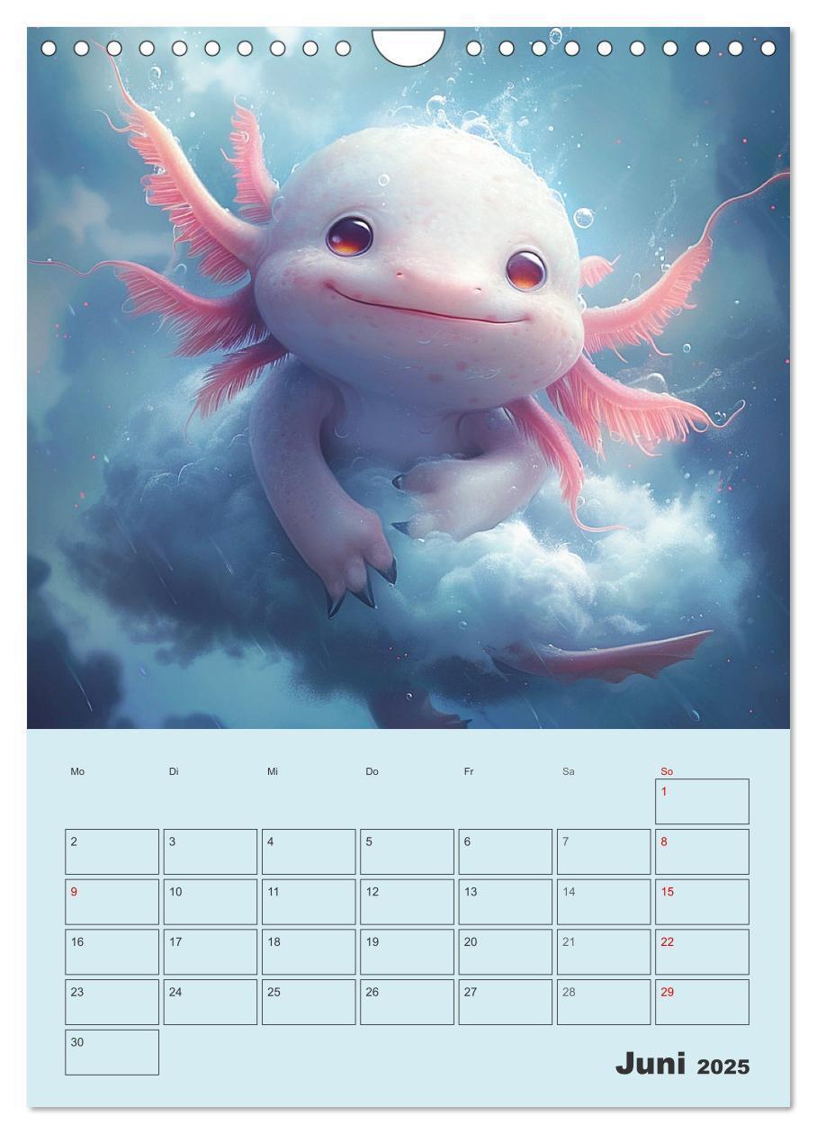 Bild: 9783383807602 | Axolotl. Lustiger Schwanzlurch mit Superkräften (Wandkalender 2025...