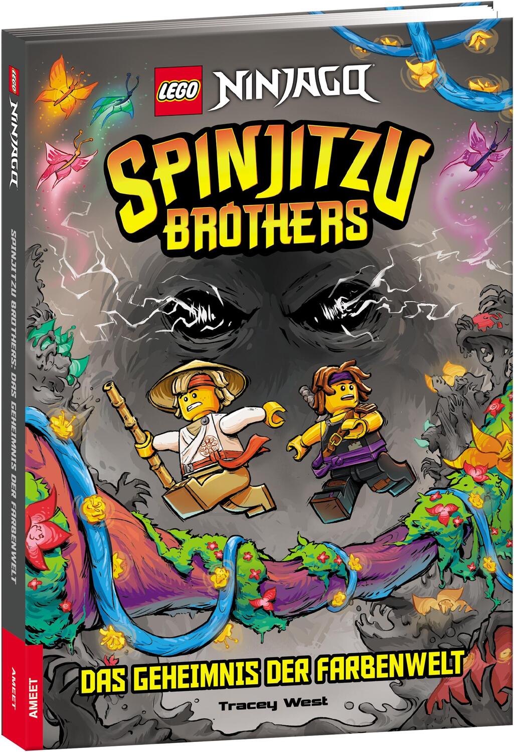 Cover: 9783960807254 | LEGO® NINJAGO® - Spinjitzu Brothers - Das Geheimnis der Farbenwelt