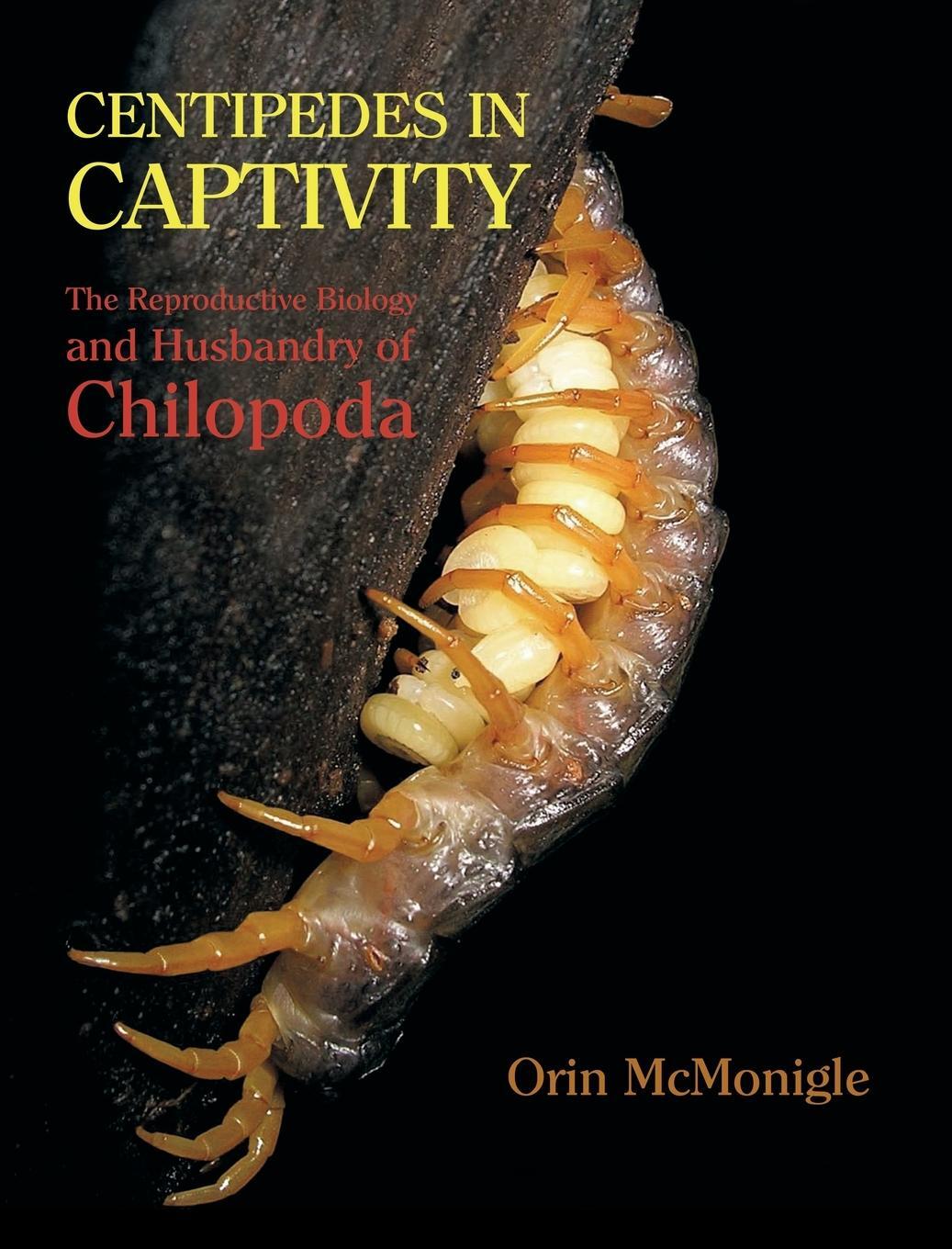 Cover: 9781616462314 | Centipedes in Captivity | Orin McMonigle | Buch | Englisch | 2014