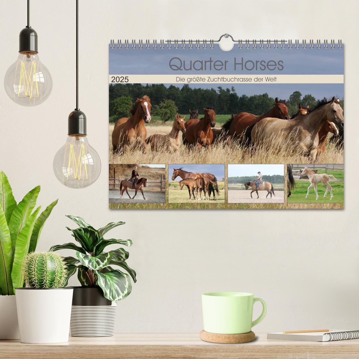 Bild: 9783435412143 | Quarter Horses - Die größte Zuchtbuchrasse der Welt (Wandkalender...