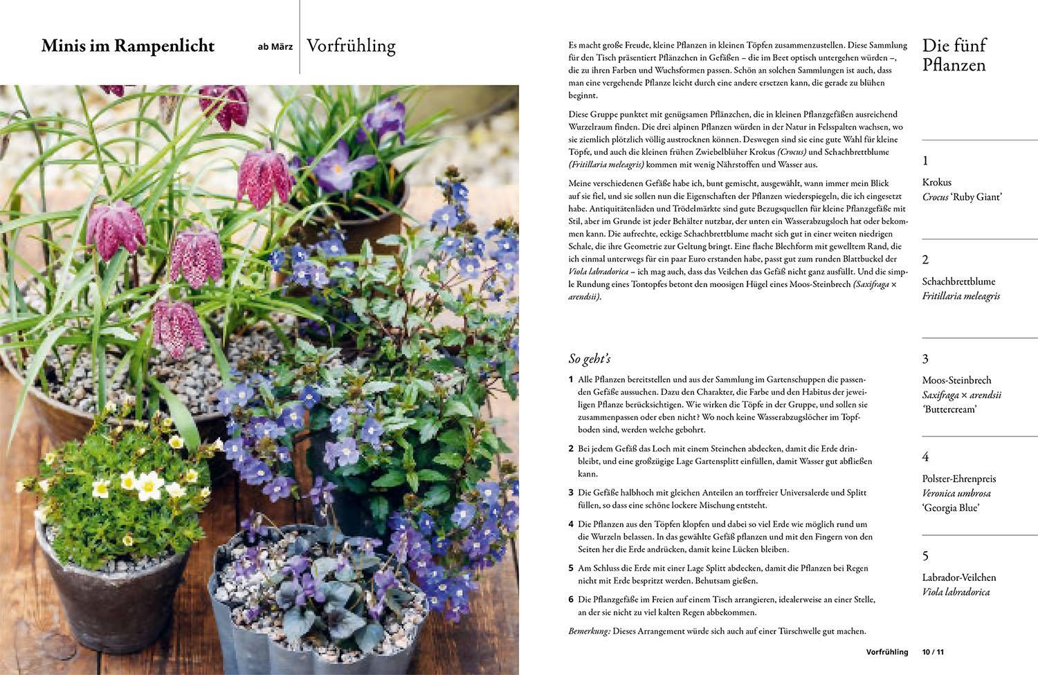 Bild: 9783440180082 | Einfach gestalten mit 5 Pflanzen | Lucy Bellamy | Taschenbuch | 224 S.