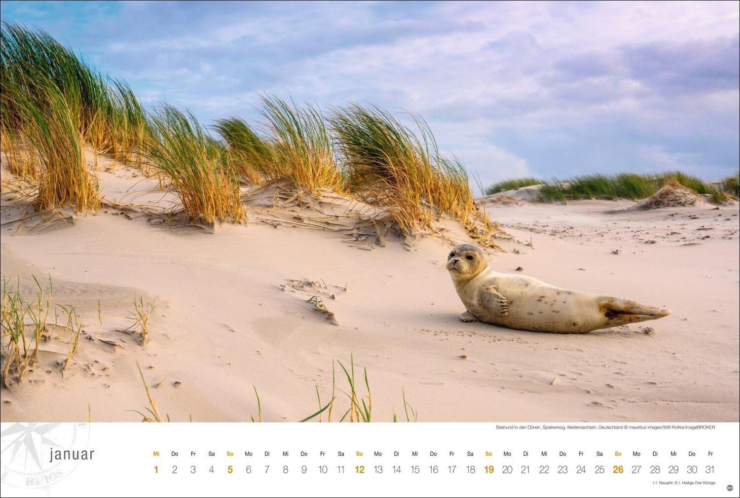Bild: 9783756404827 | Nordsee Globetrotter Kalender 2025 - Von frischem Wind und weiten...