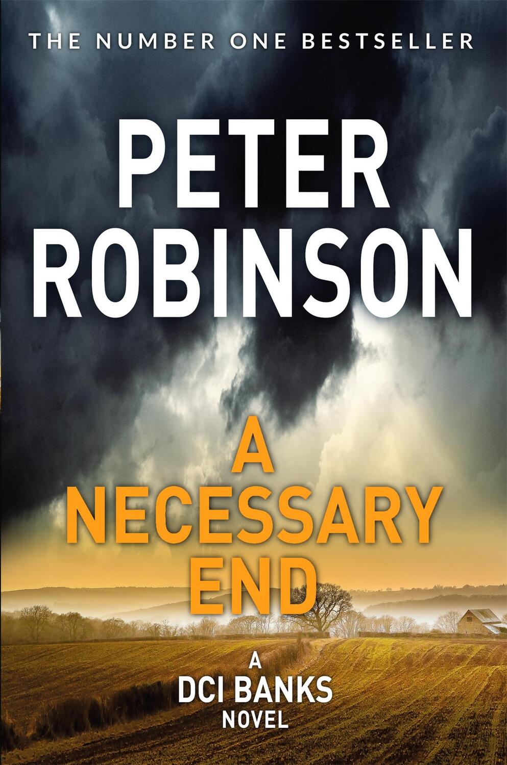 Cover: 9781509857050 | A Necessary End | Peter Robinson | Taschenbuch | Englisch | 2018