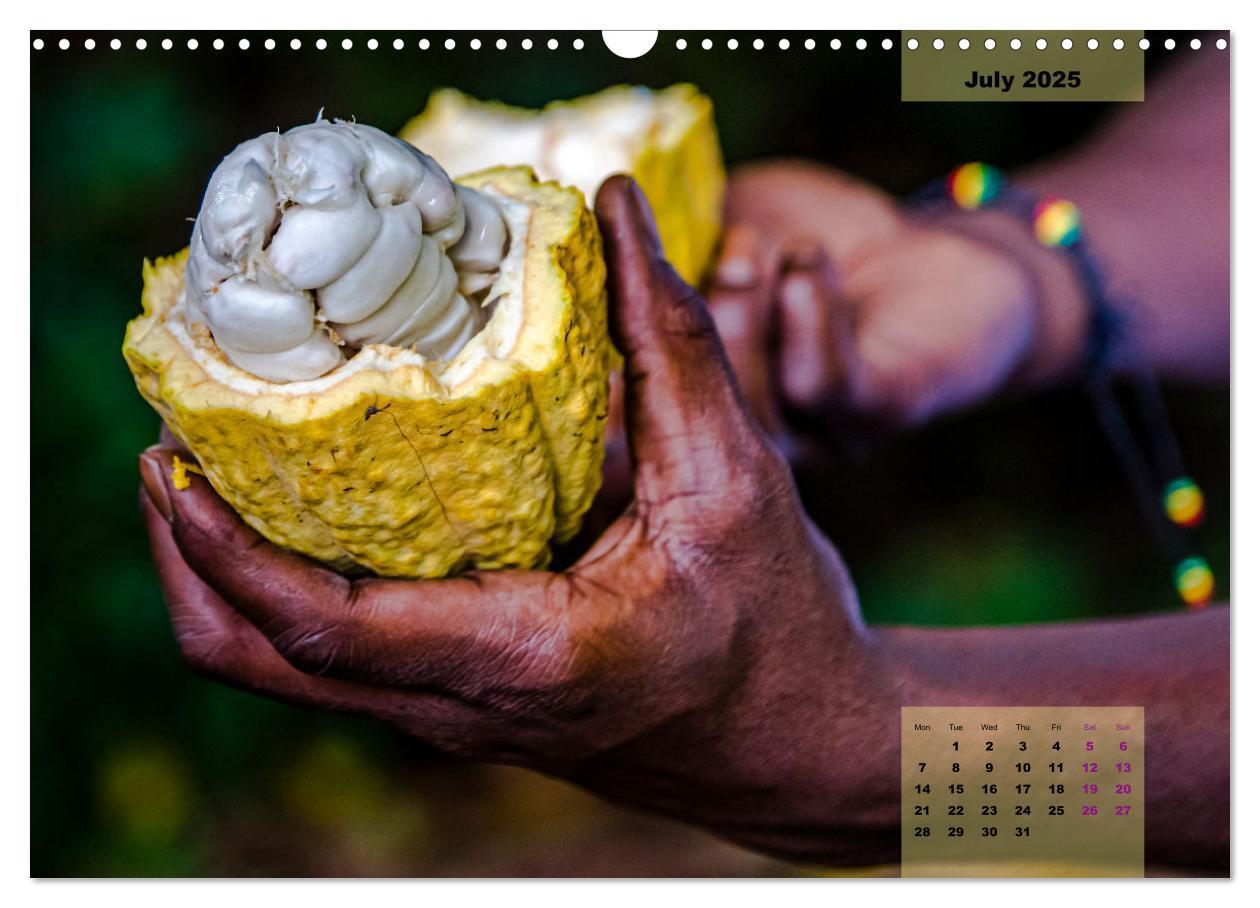 Bild: 9781325836536 | Fruits of Grenada (Wall Calendar 2025 DIN A3 landscape), CALVENDO...