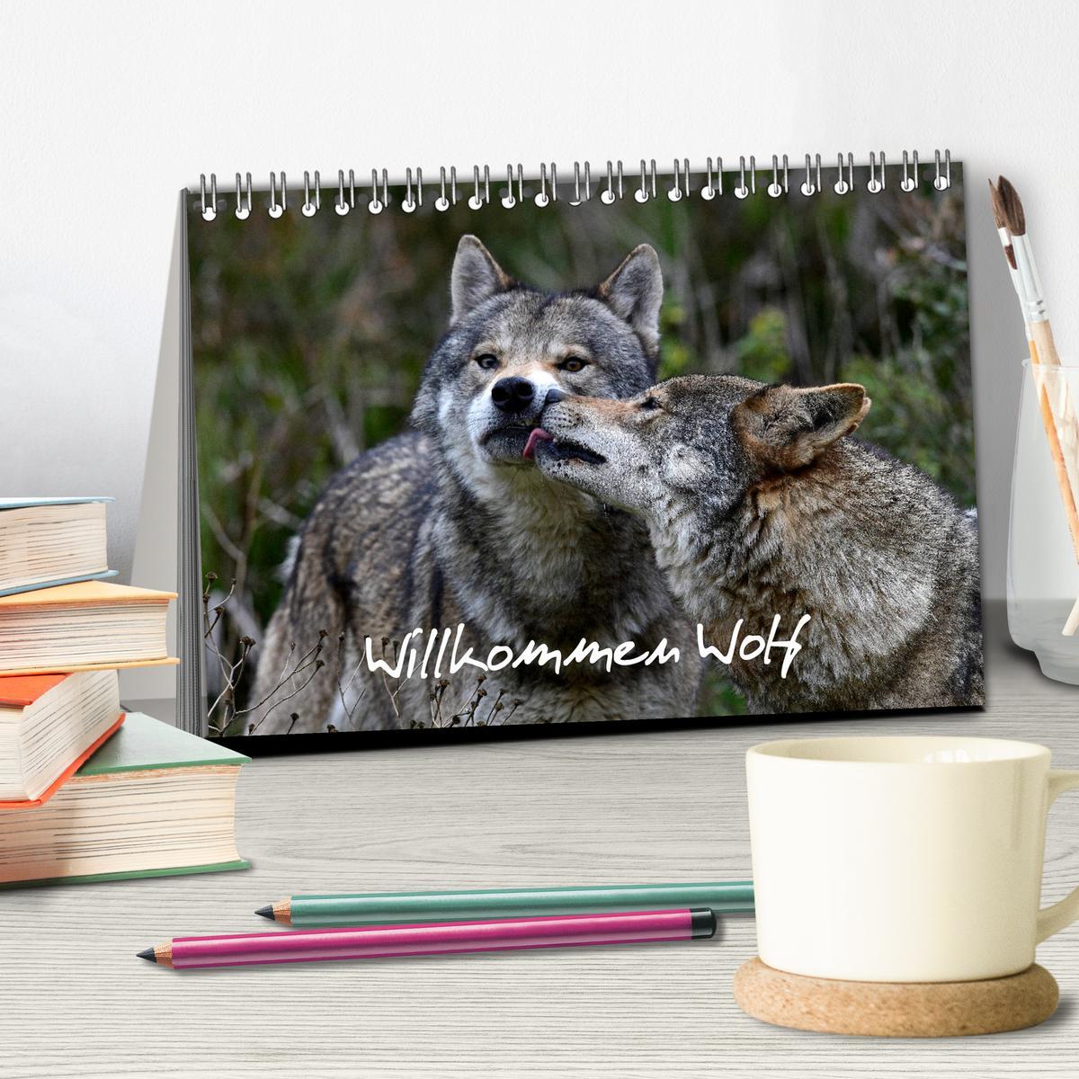 Bild: 9783435195121 | Willkommen Wolf (Tischkalender 2025 DIN A5 quer), CALVENDO...