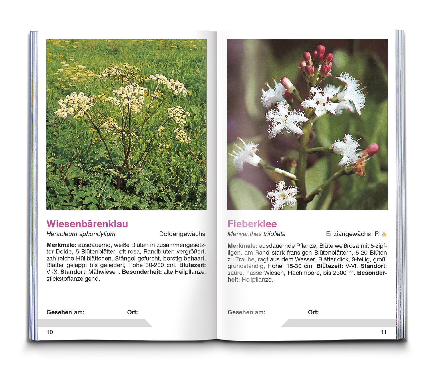 Bild: 9783991215387 | KOMPASS Naturführer Wiesenblumen | Christine Jaitner | Taschenbuch