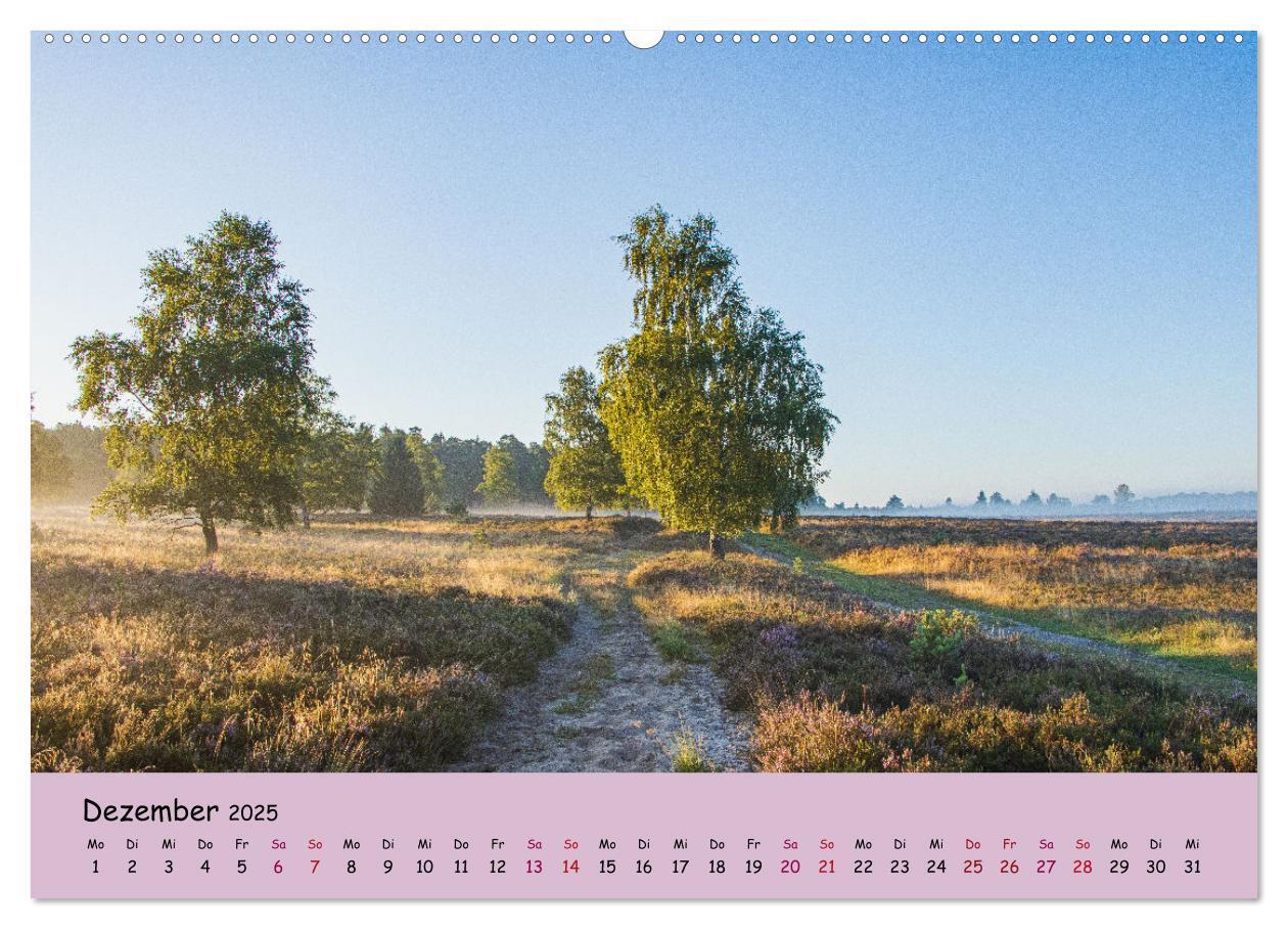 Bild: 9783435029747 | Lüneburger Heide Wege (Wandkalender 2025 DIN A2 quer), CALVENDO...