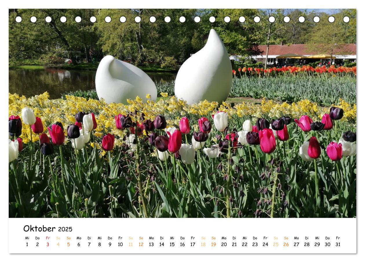 Bild: 9783383923623 | Auf Tour im Land der Tulpen (Tischkalender 2025 DIN A5 quer),...