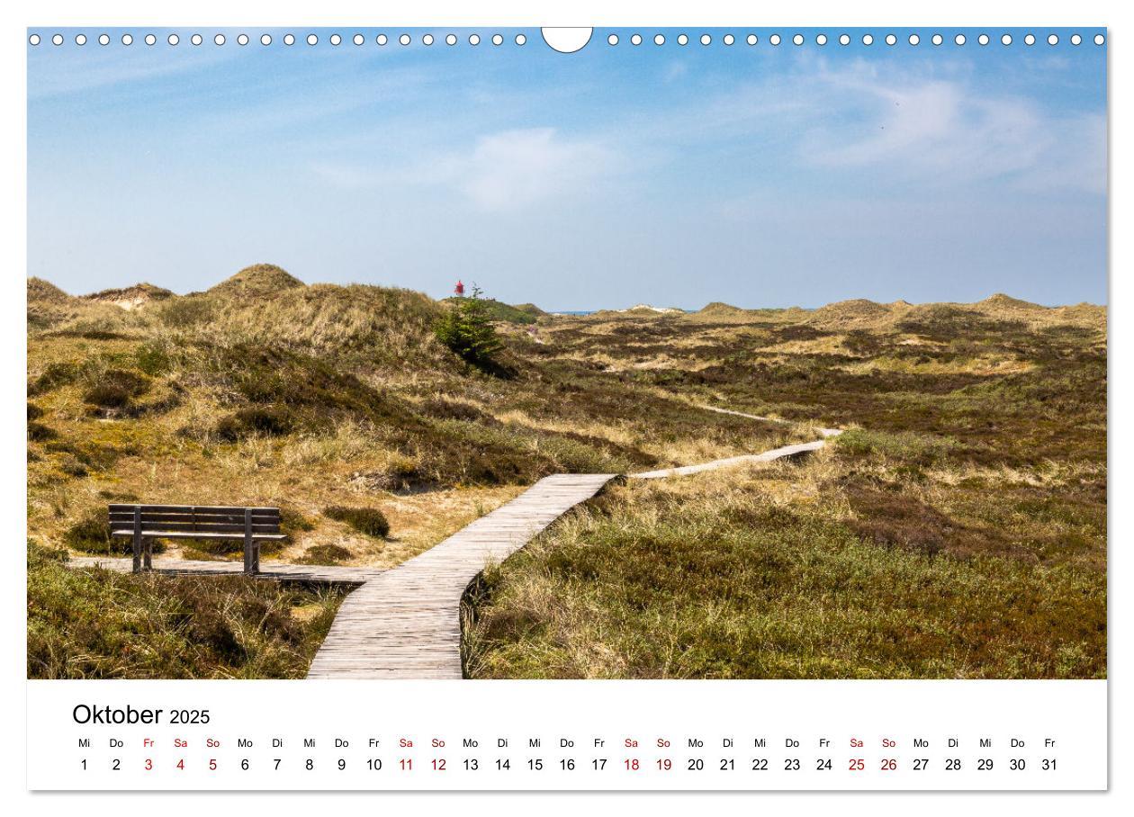 Bild: 9783383895906 | Amrum - Das Paradies in der Nordsee (Wandkalender 2025 DIN A3...