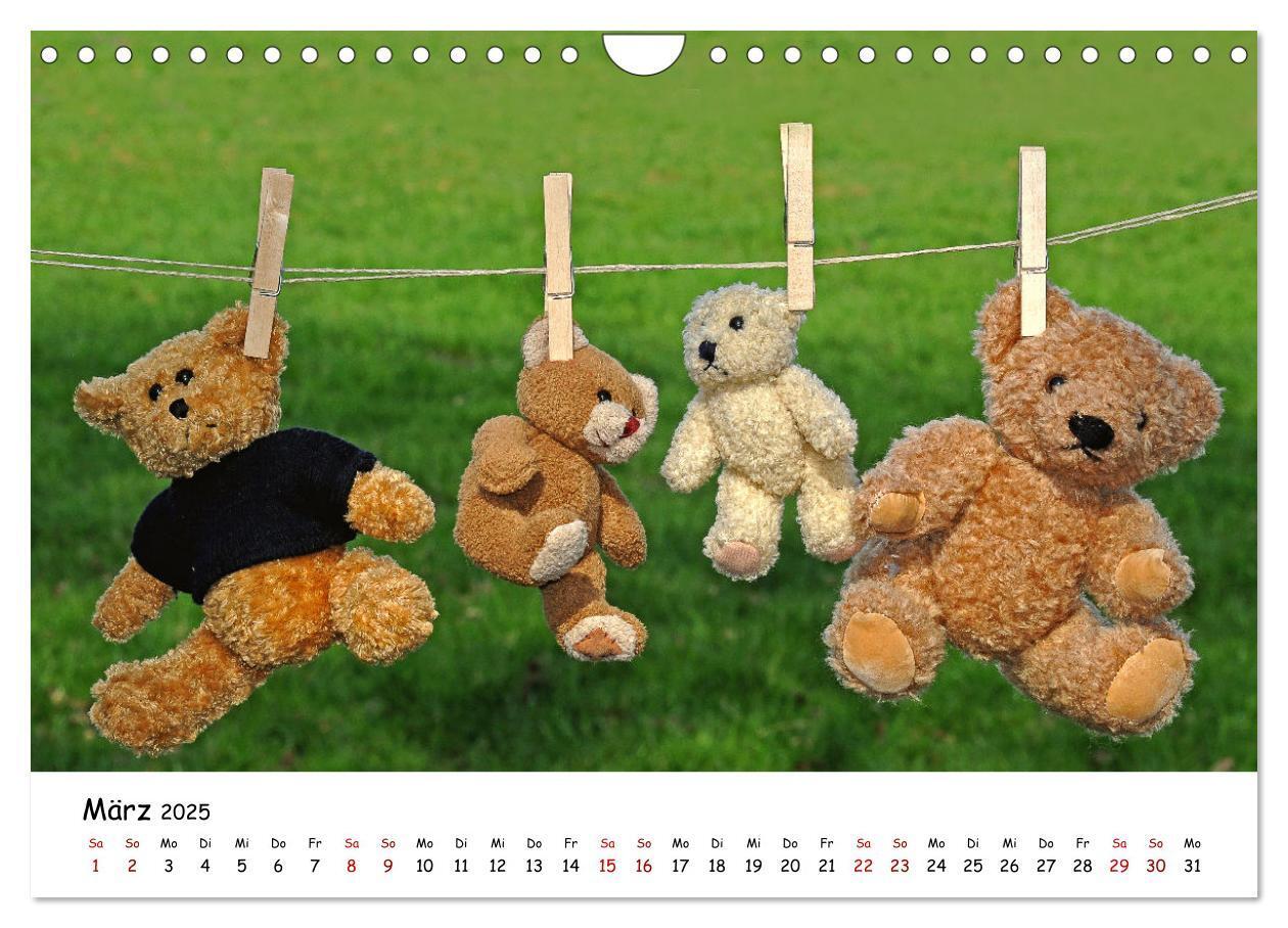 Bild: 9783383964954 | Allerliebste Teddybären (Wandkalender 2025 DIN A4 quer), CALVENDO...