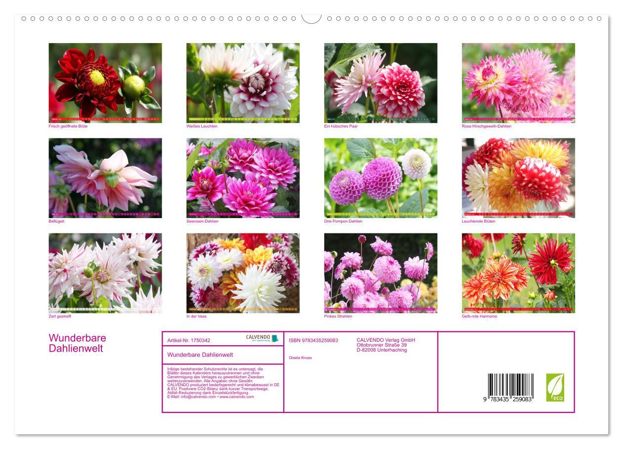 Bild: 9783435259083 | Wunderbare Dahlienwelt (hochwertiger Premium Wandkalender 2025 DIN...