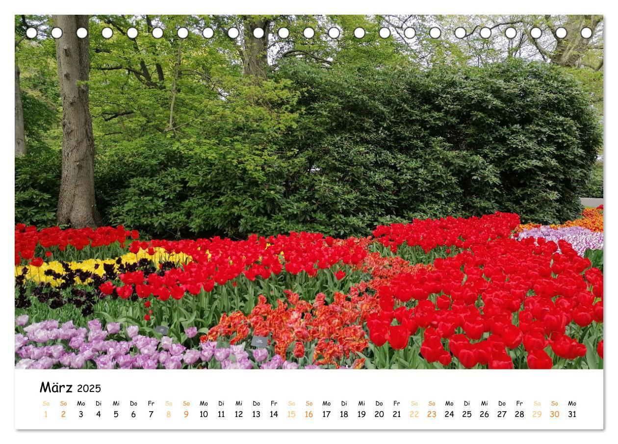 Bild: 9783383923623 | Auf Tour im Land der Tulpen (Tischkalender 2025 DIN A5 quer),...