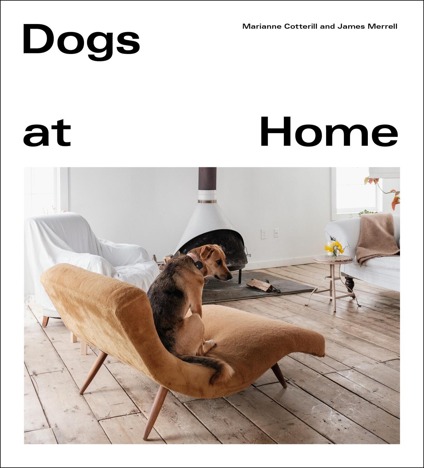 Cover: 9781529105094 | Dogs at Home | Marianne Cotterill | Buch | Englisch | 2021 | EBURY PR
