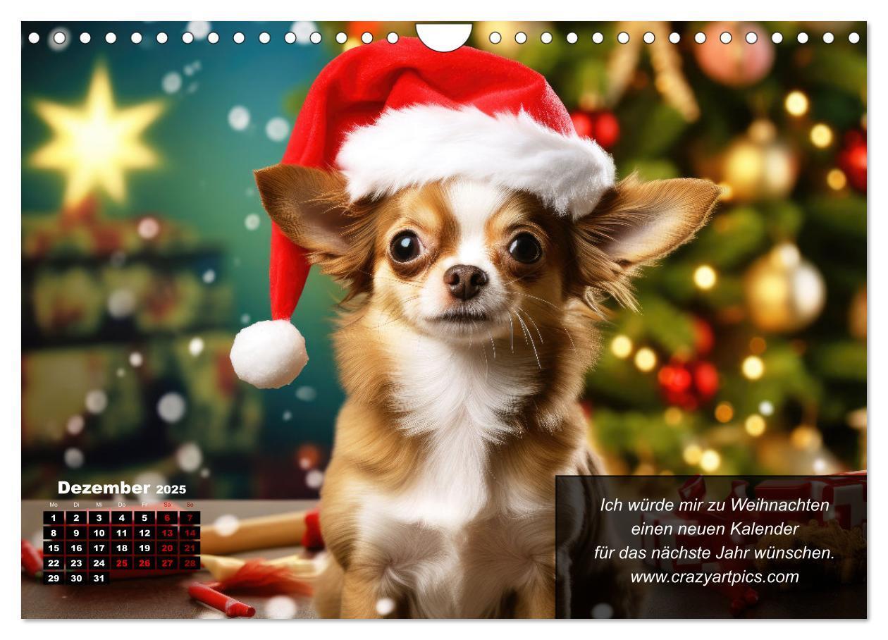 Bild: 9783457129388 | Lustige Chihuahua-Momente (Wandkalender 2025 DIN A4 quer), CALVENDO...