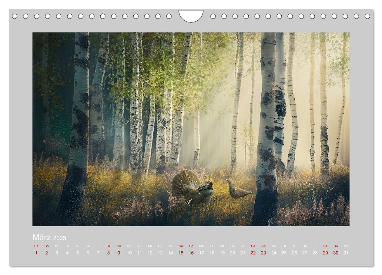 Bild: 9783383914010 | Wald der Märchen (Wandkalender 2025 DIN A4 quer), CALVENDO...