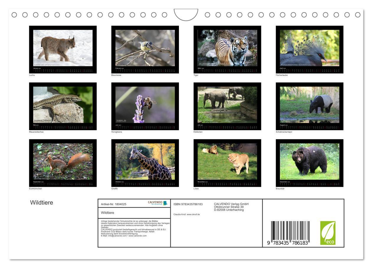 Bild: 9783435786183 | Wildtiere (Wandkalender 2025 DIN A4 quer), CALVENDO Monatskalender