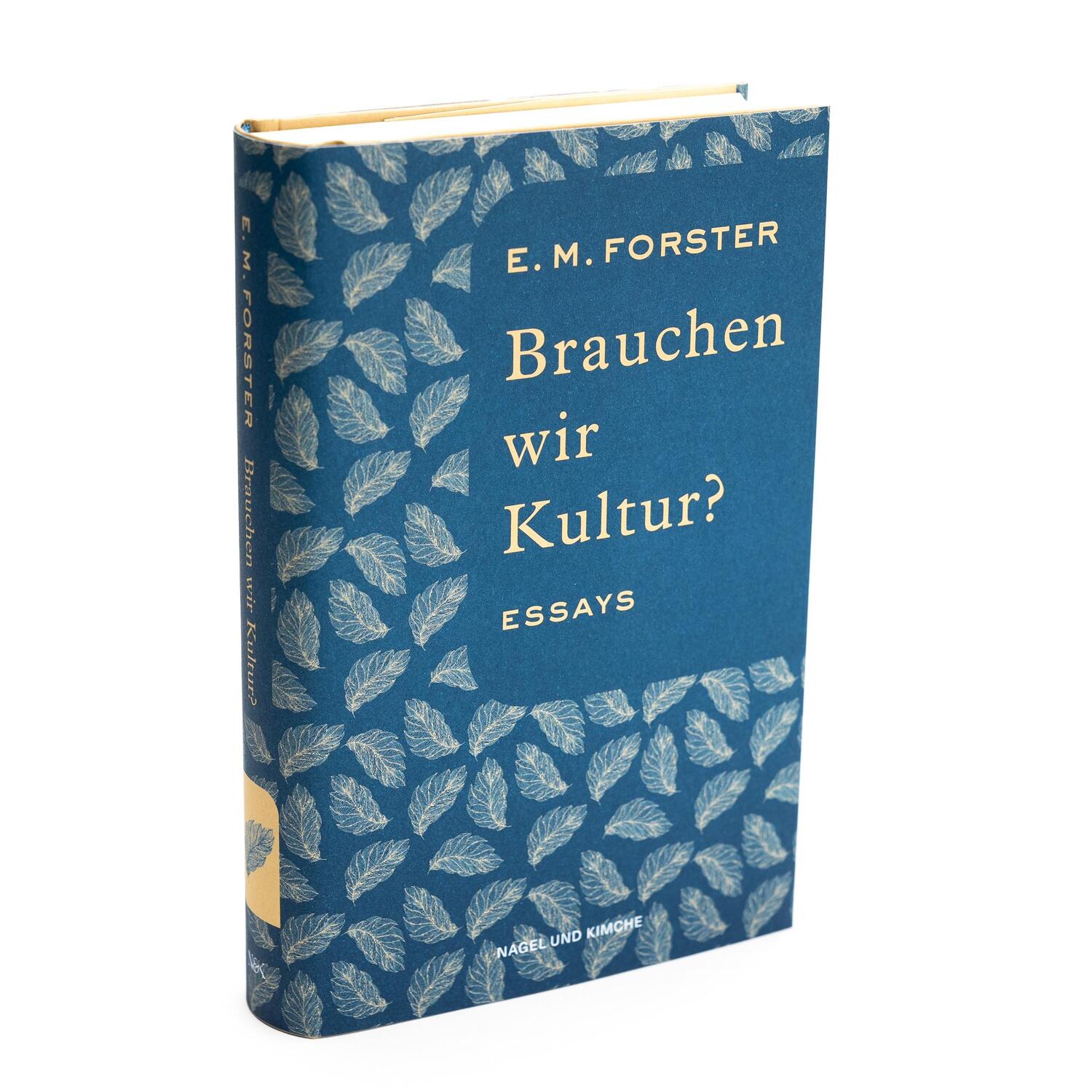 Bild: 9783312013029 | Brauchen wir Kultur? | Essays Deutsche Erstveröffentlichung | Forster