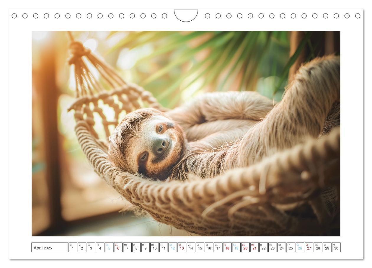 Bild: 9783457151341 | Snoozers Träumende Abenteuer (Wandkalender 2025 DIN A4 quer),...