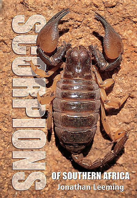 Cover: 9781775846529 | Scorpions of South Africa | Jonathan Leeming | Taschenbuch | Englisch