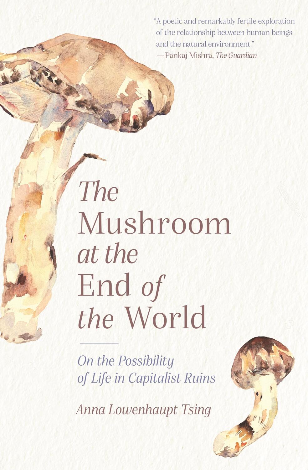 Cover: 9780691220550 | Mushroom at the End of the World | Anna Lowenhaupt Tsing | Taschenbuch