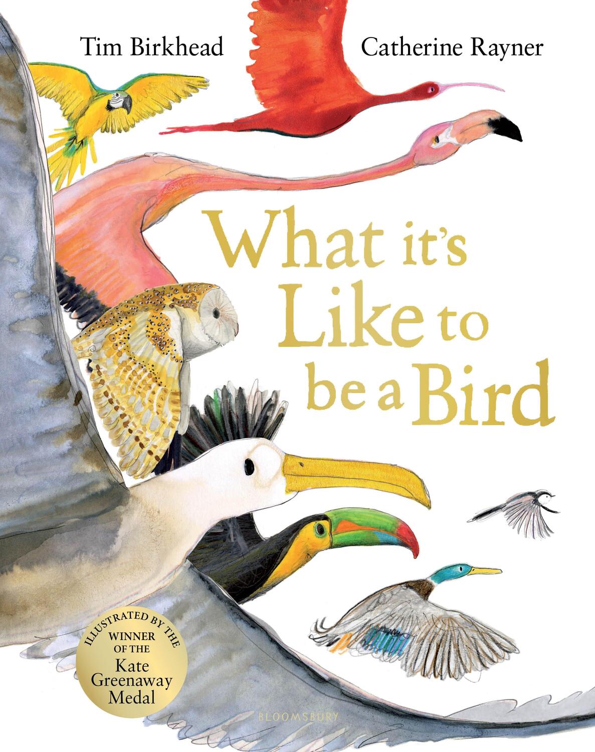 Cover: 9781526604125 | What it's Like to be a Bird | Tim Birkhead | Buch | Gebunden | 2021